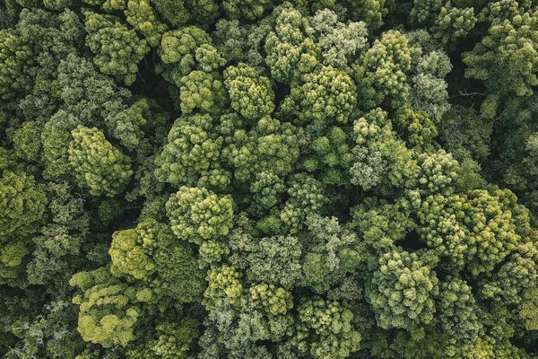 Location voiture avec chauffeur dans le sud de l'inde : séjour sur-mesure